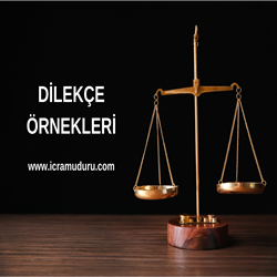 İcra Dairesi Mal Beyanı Bildirimi Formu Örneği ( Güncel)