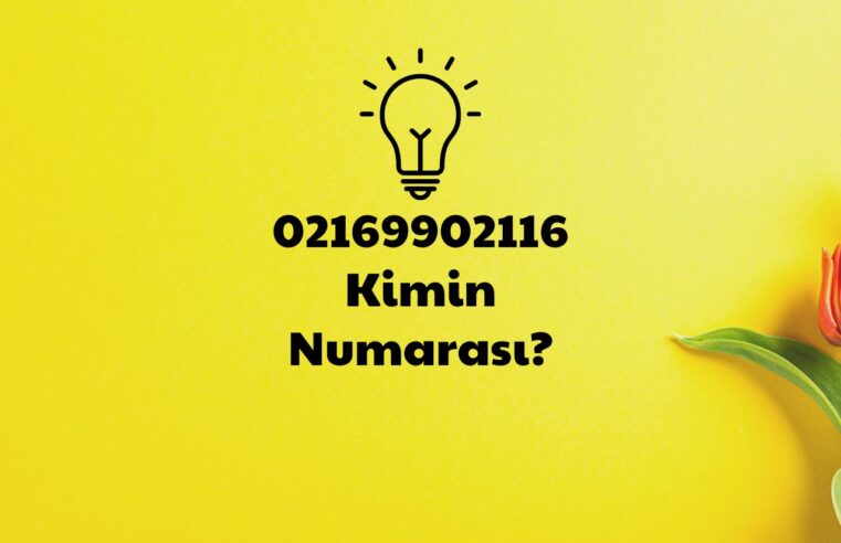 02169902116 Kimin Numarası?