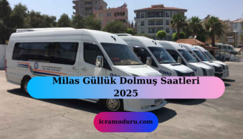 Milas Güllük Dolmuş Saatleri