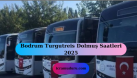 Bodrum Turgutreis Dolmuş Saatleri 2025