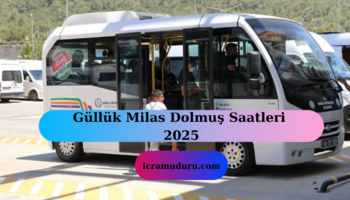 Güllük Milas Dolmuş Saatleri