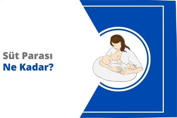 sut-parasi-ne-kadar-2026-ucreti – İcra Müdürü – Maaş, Sınav Rehberi, Minibüs Saatleri ve Aktüel Ürünler Süt parası ne kadar 2026 ücreti