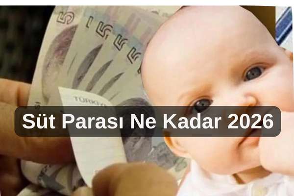 sut-parasi-ne-kadar-2026 – İcra Müdürü – Maaş, Sınav Rehberi, Minibüs Saatleri ve Aktüel Ürünler Süt parası ne kadar 2026