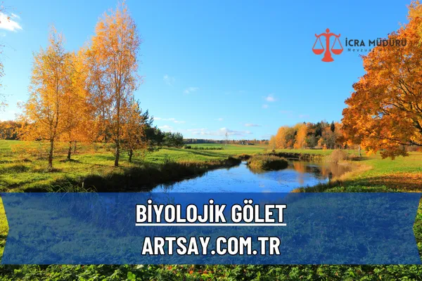 Biyolojik Gölet – İcra Müdürü – Maaş, Sınav Rehberi, Minibüs Saatleri ve Aktüel Ürünler Biyolojik Gölet