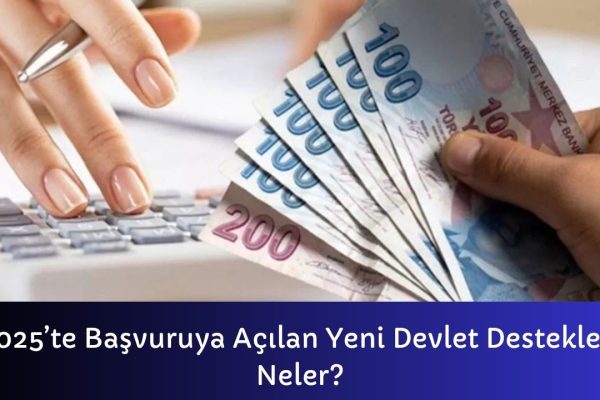 2025te Başvuruya Açılan Yeni Devlet Destekleri Neler – İcra Müdürü – Maaş, Sınav Rehberi, Minibüs Saatleri ve Aktüel Ürünler