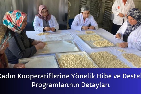 Kadın Kooperatiflerine Yönelik Hibe ve Destek Programlarının Detayları – İcra Müdürü – Maaş, Sınav Rehberi, Minibüs Saatleri ve Aktüel Ürünler
