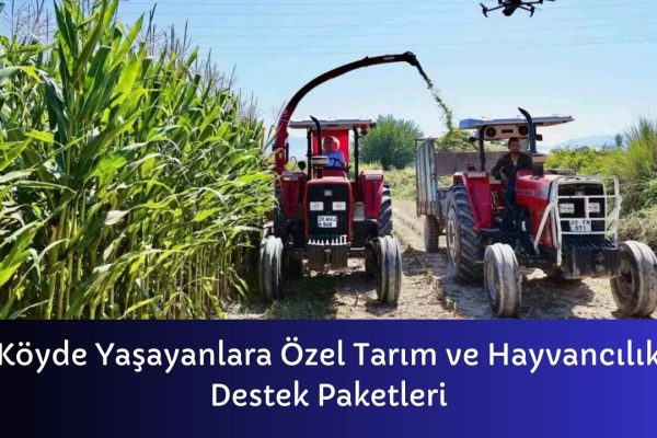 Köyde Yaşayanlara Özel Tarım ve Hayvancılık Destek Paketleri – İcra Müdürü – Maaş, Sınav Rehberi, Minibüs Saatleri ve Aktüel Ürünler