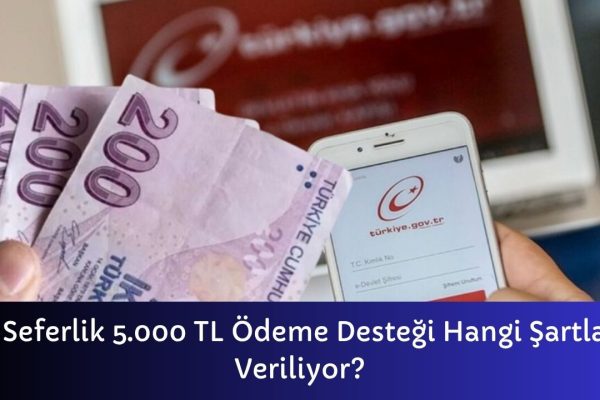 Tek Seferlik 5000 TL Ödeme Desteği Hangi Şartlarda Veriliyor – İcra Müdürü – Maaş, Sınav Rehberi, Minibüs Saatleri ve Aktüel Ürünler